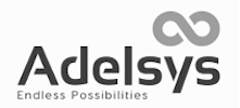Logo adelsys gris